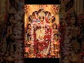 জয় মা 🌺🙏❤️#জয়