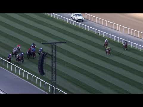 2021 Al Quoz Sprint Replay