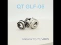 Mechanical Seals GLF-06