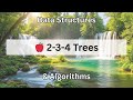 🍎 2-3-4 Trees | Data Structures &amp; Algorithms