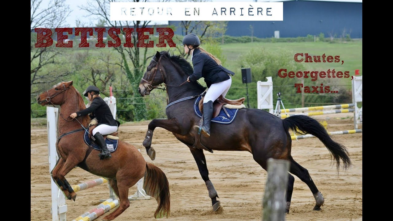 [Bêtisier] Toutes mes chutes et conneries à cheval.. YouTube