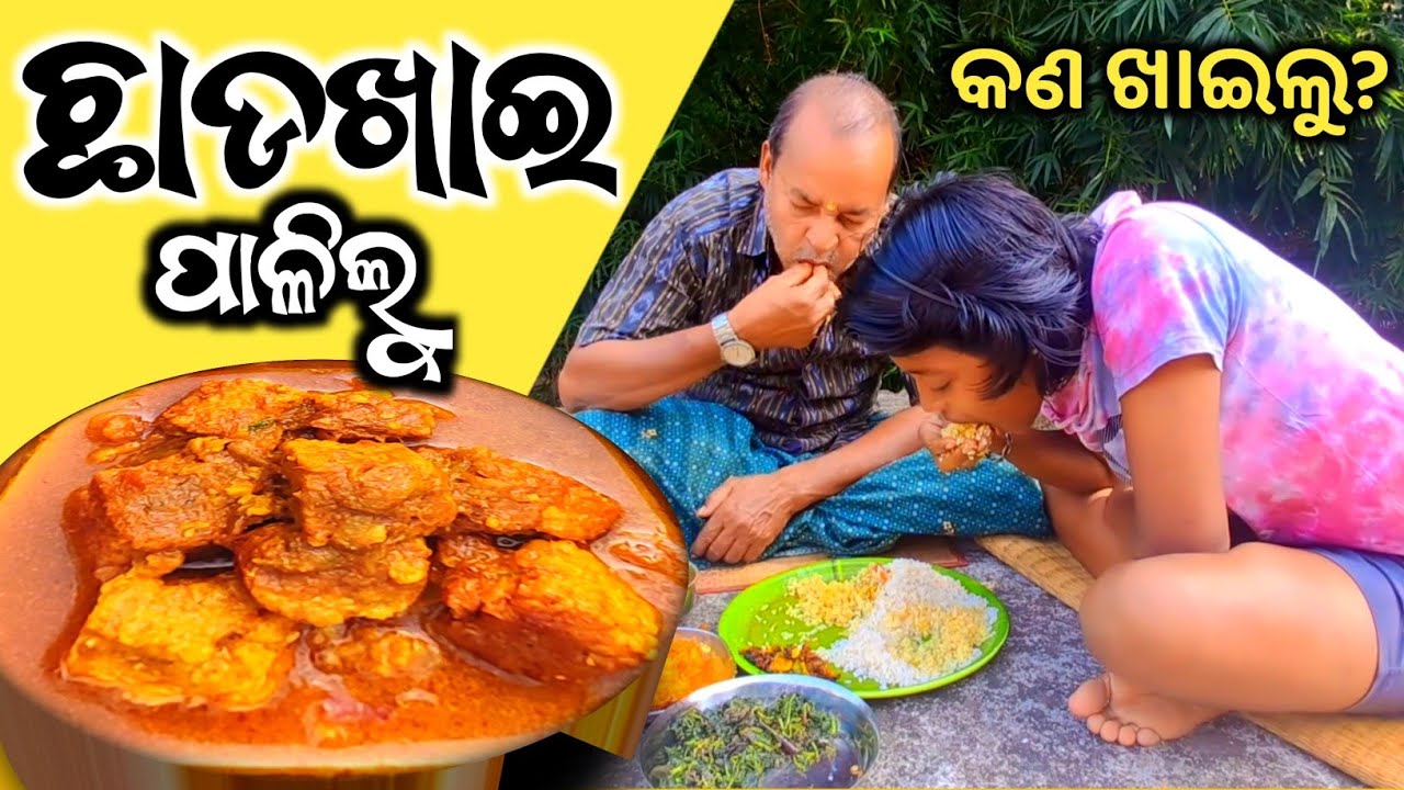 ଆମେ କେମିତି ପାଳୁ ଛାଡଖାଇ ଦେଖନ୍ତୁ😃