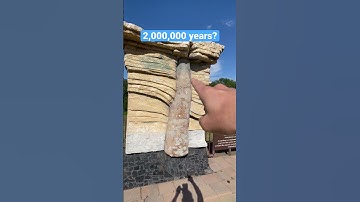 Does Polystrate Fossils Convince the Critics of a Global Flood?