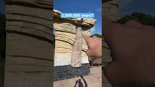 Does Polystrate Fossils Convince The Critics Of A Global Flood?