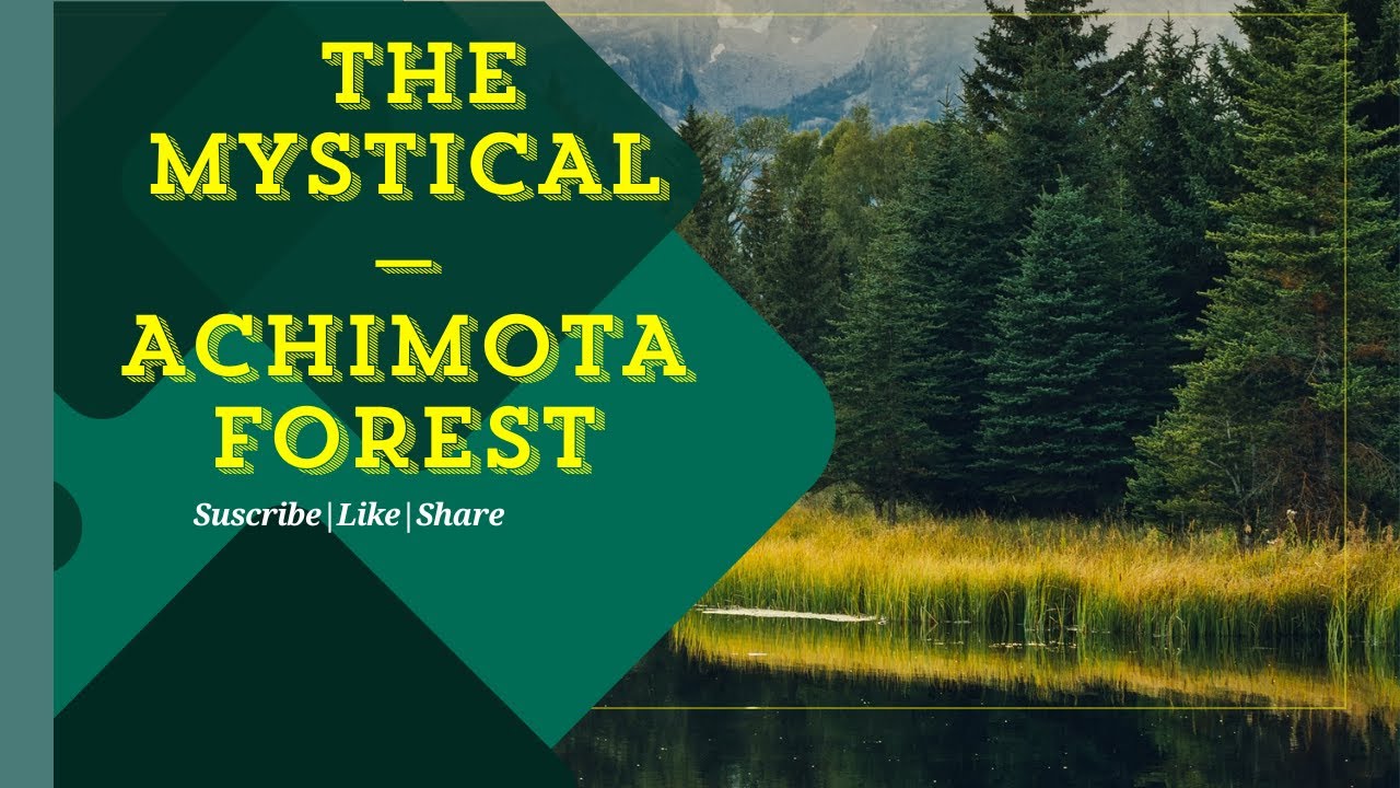 THE MYSTICAL—ACHIMOTA FOREST | Episode 1: The Place That Receives People