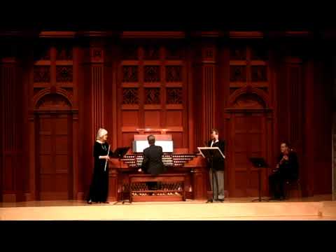 TELEMANN Trio Sonata in E Minor for flute, oboe, and continuo | Buyse, Atherholt, Kamins & Cowan