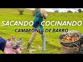 CAMARON GIGANTE! Sacando Y Cocinando Camarones De Barro- COCINA RUSTICA ! DORHUNT