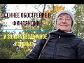 Татьяна. Финляндия. Осеннее обострение 2021.  ...И золота бездымное горение.