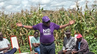 Breaking News: Tendai Biti and others arrested.