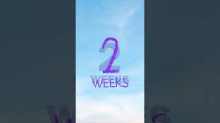 Just 2 weeks to unleash your imagination! #HaroldAndThePurpleCrayon In cinemas August 23 🟣 #shorts
