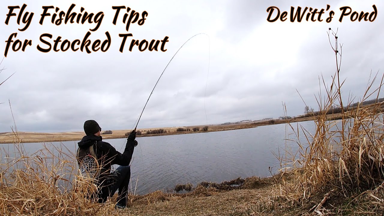 Fly Fishing Tips & Chatting Stocked Trout At DeWitt's Pond [STOCKED