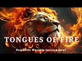 Prophetic Warfare Instrumental Worship/TONGUES OF FIRE/Background Prayer Music