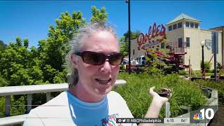 Famous Dolles Sign Is Back in Rehoboth Beach, But with New Perch