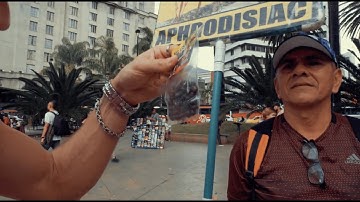 I Found Aphrodisiac Ants in Medellín Colombia  🇨🇴🇨🇱