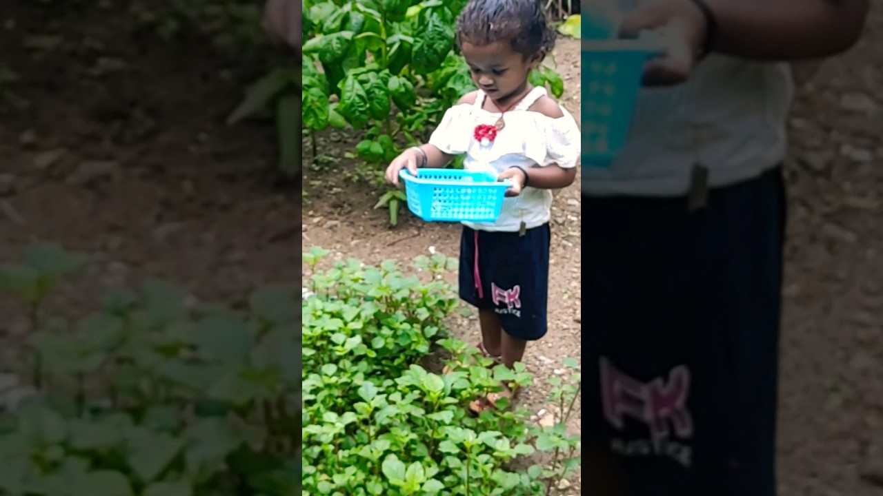 cute girl harvesting saag 🥰🥰