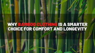 Why Bamboo Clothing Is a Smarter Choice for Comfort, Longevity & Sustainability 🌿