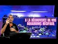 Dcouvrez les secrets de vos aquariums rcifaux 