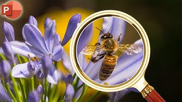 Magnifying Glass Zoom Effect in Microsoft PowerPoint