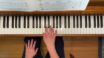 Mister Bluebird - Piano Adventures Primer Level Lesson Book