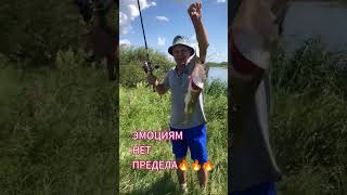 АЗАРТНАЯ РЫБАЛКА #shorts #андрей_целиноград #наживка #рыбалка #разведение_червей