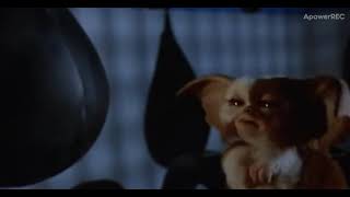 Gizmo como Rambo