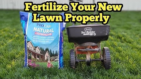 How To Fertilize A Spring Lawn After Overseeding Or Newly Renovated Lawn| ProCare Lawn Fertilizer