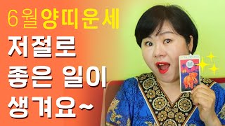 [타로/주역] 6월 양띠 종합운세  연애/직장/사업/재물/인간관계/행운컬러
