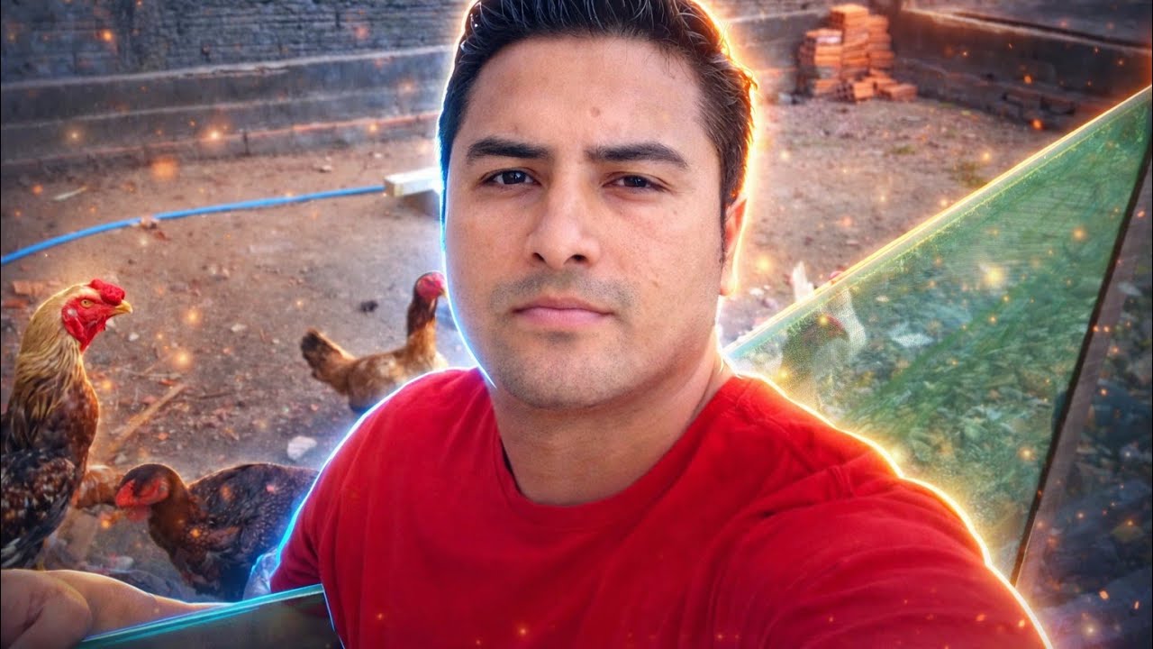 ALIMENTANDO AS PENOSAS 