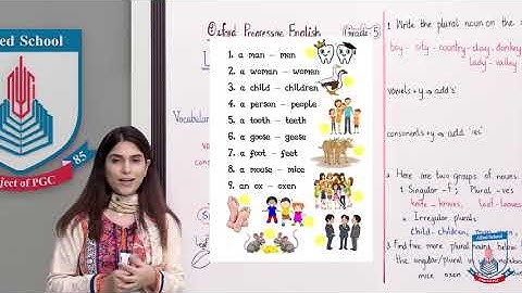 Class 5 - English - Unit 8 - Lecture 2 - Saving The Turtle - Allied School