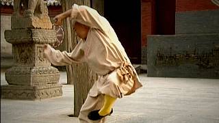 Shaolin Kung Fu Concealment Strategy – Xiao Luohan Quan (Small Buddha Form) | Monk Shi Yan Lu