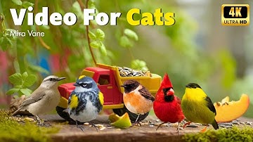 🦜 Enchanted Garden Video for Cats | 8 Hours of Magical Birds to Reduce Feline Stress 😻💫