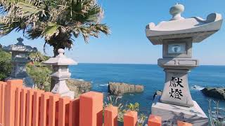 [4K Japan] Tropical Shrine?! Miyazaki \