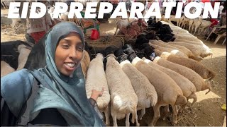 THE SHOCKING PRICES OF LIVESTOCK IN HARGEISA SOMALILAND 2026