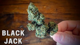 Black Jack CBD Bud Review (Full Bloom Hemp)