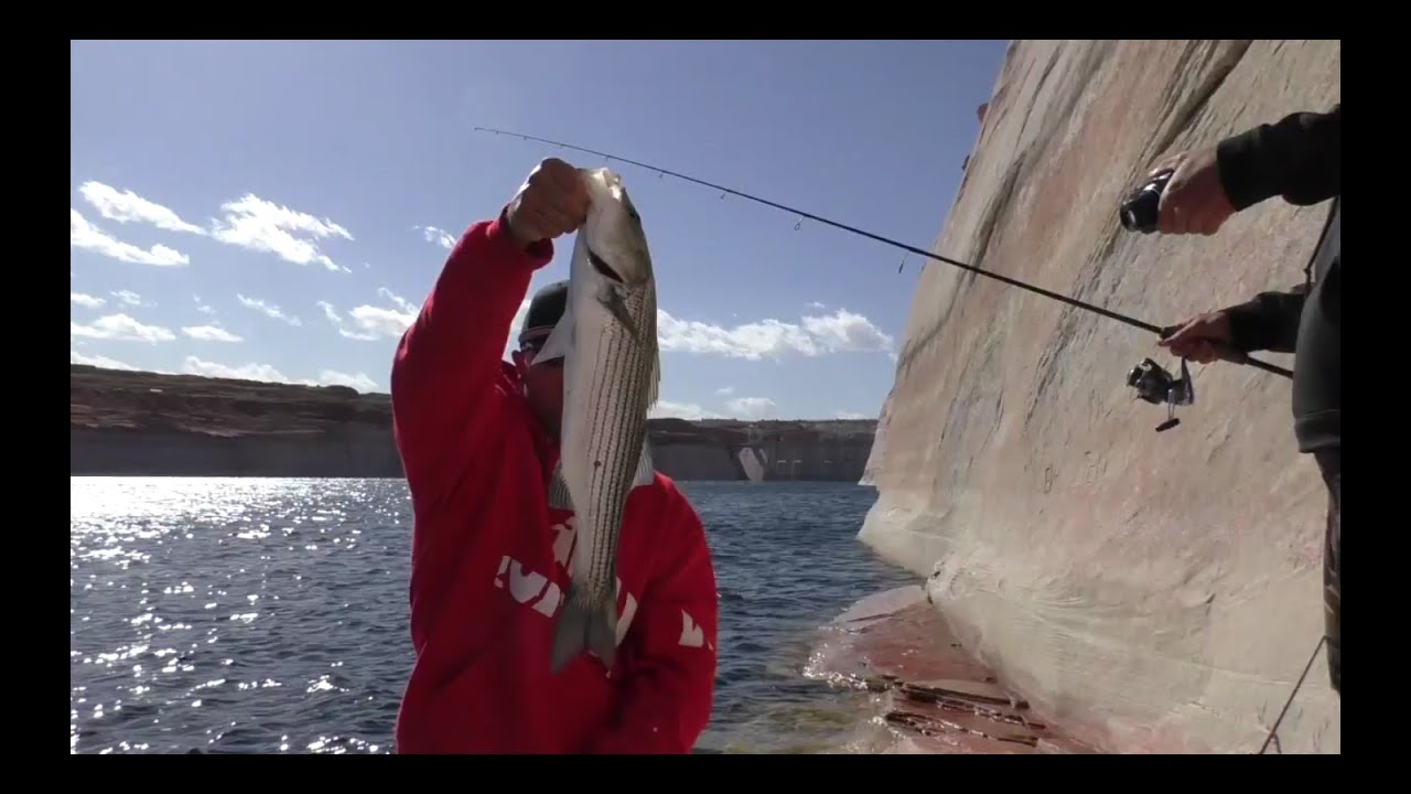LAKE POWELL STRIPER FISHING YouTube