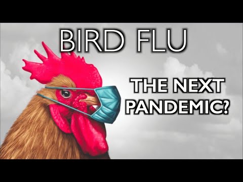 BIRD FLU: the Next Pandemic?