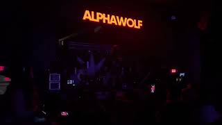 Alpha Wolf  Ultraviolet Violence 