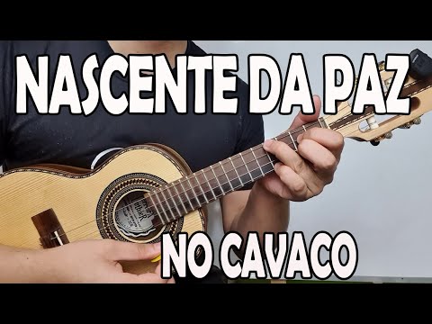 Aprenda Nascente Da Paz Bororó Fundo De Quintal Aula De Cavaquinho Léo Soares Aprenda Nascente Da Paz Bororó Fundo De Quintal Aula De Cavaquinho Léo Soares