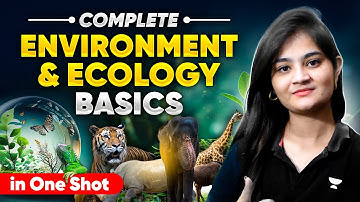 Complete Environment & Ecology Basics in One Shot | Apoorva Rajput Geography