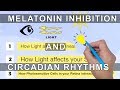Melatonin Inhibition and Circadian Rhythms