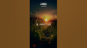 #ياسر_الدوسري #سورة_القصص #قران #قران_كريم