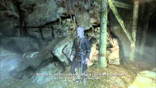 Tolfdir sends me to Arniel Gane. (Skyrim)