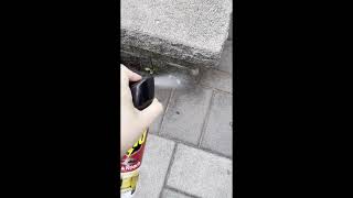 Get Rid Of Insects Instantly With This Product - Raid Ant & Roach Killer Review