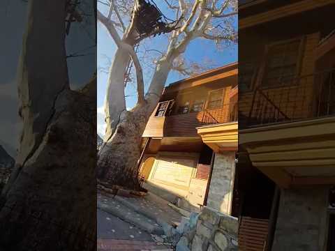 Sait Nursi İbadet Ettiği Ev : Barla /ISPARTA