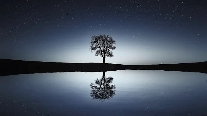 Seizing Opportunities | Motivational @Marquiswiggi...