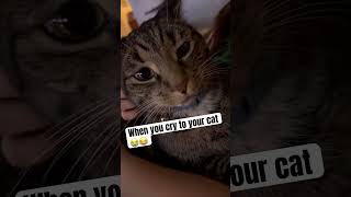 Me Sobbing To My Cat For Emotional Support