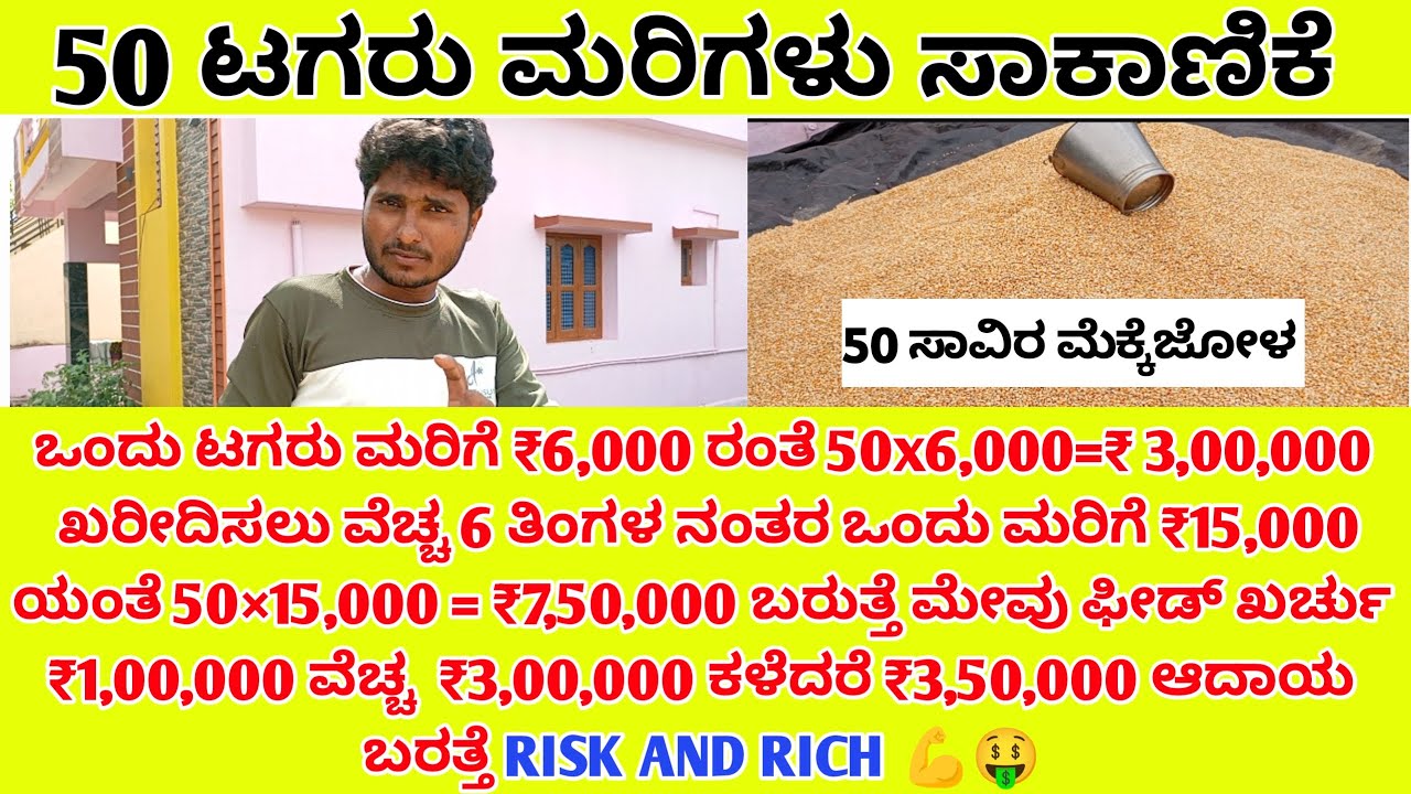 tagaru sakanike | dairy farm | hainugarike information in Kannad