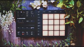 Ambient Jam Maschine Mikro Mk 3 No Beats Ambient Sky. Day 210