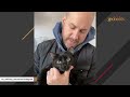 Black cat was nearly put down for kitty cold. Then a woman gave her another chance.