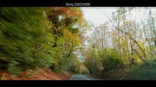 Sony DSCH200 Bridge Shots